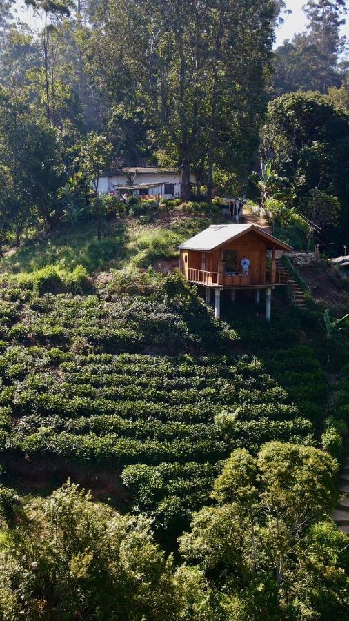 Green Nature Paradise Ella Exterior photo